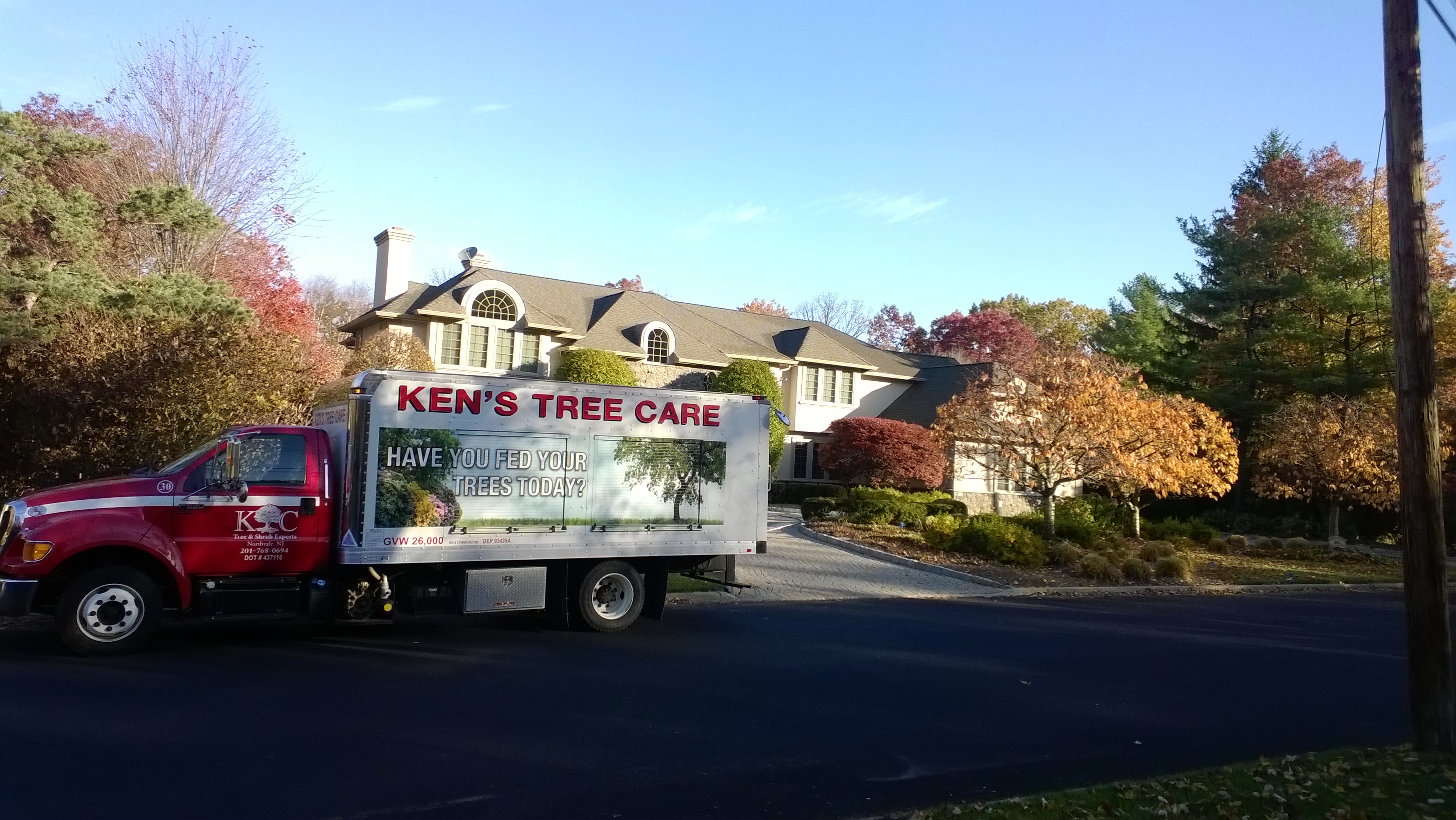 Kens Tree Care on the job